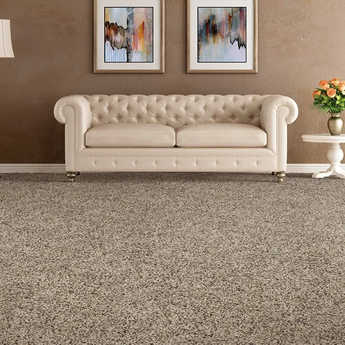 Watkins Floor Covering providing stain-resistant pet proof carpet in Jacksonville, NC