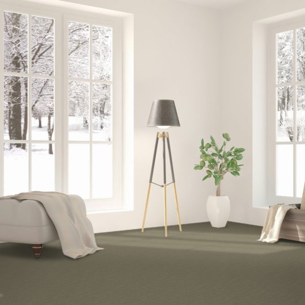 Watkins Floor Covering providing stain-resistant pet proof carpet in Jacksonville, NC - Influencer 36